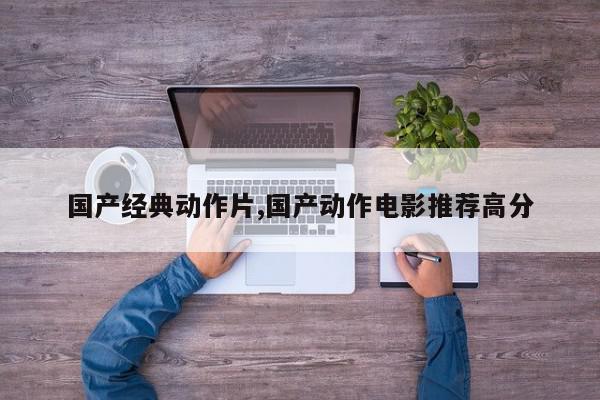 国产经典动作片,国产动作电影推荐高分